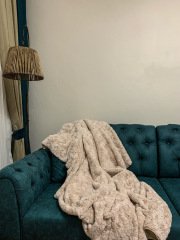 Micro Koltuk Şalı | Krem 100 x 150 cm