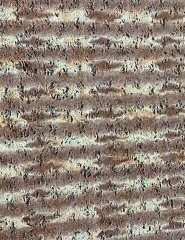 Micro Koltuk Şalı | Tiger 100 x 150 cm