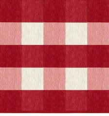 Butik Ekose Halı | Kırmızı Paspas